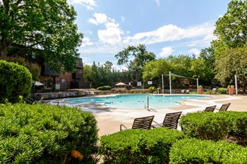 Pool and surroundings